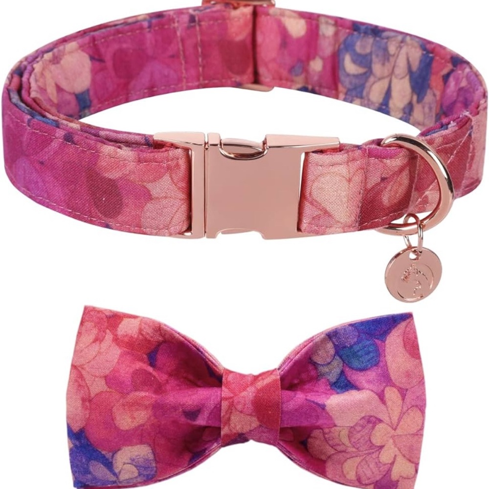 New dog collar with detachable bow.